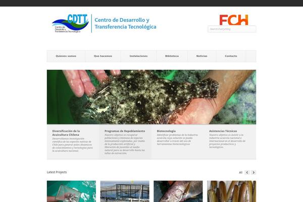 Pitch theme site design template sample
