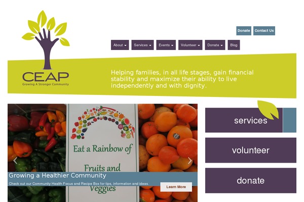 ceap.com site used Fdtheme
