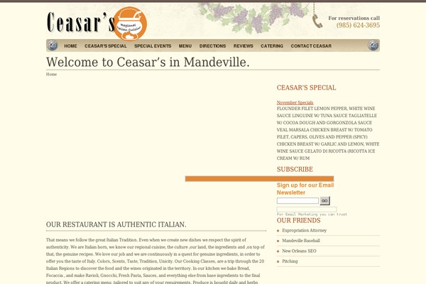 Restaurant theme site design template sample