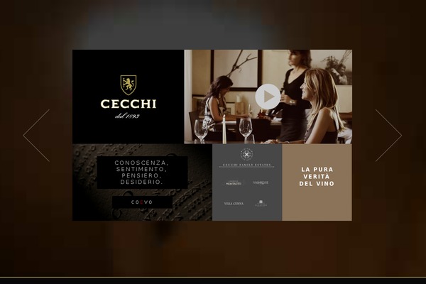 cecchi WordPress theme, websites list used cecchi theme cecchi theme websites examples