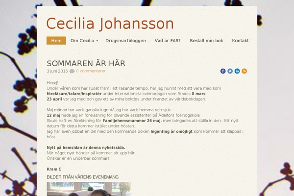 WordPress website example screenshot