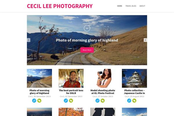 Style theme site design template sample