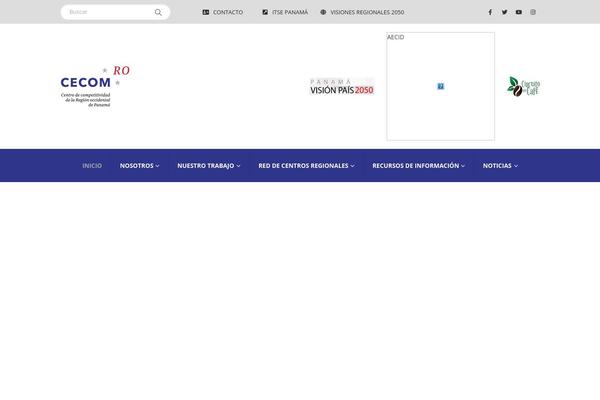 Site using Custom-twitter-feeds plugin