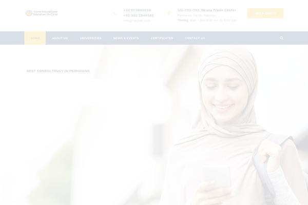 Consuloan theme site design template sample