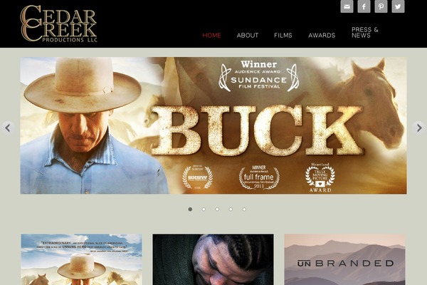 Site using Nextgen-gallery-plus plugin