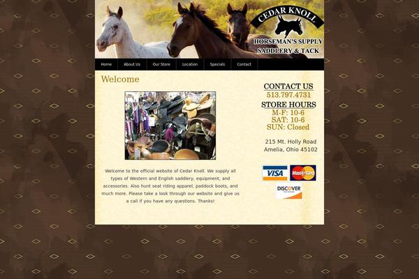 Blass2 theme site design template sample