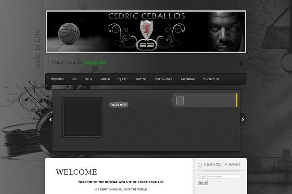 Polished theme site design template sample