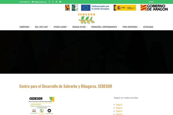 Divi Child theme site design template sample