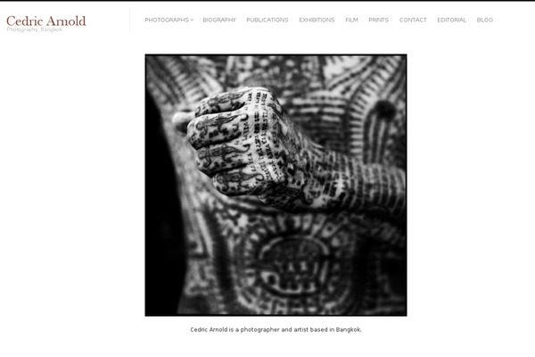 Fluxus theme site design template sample