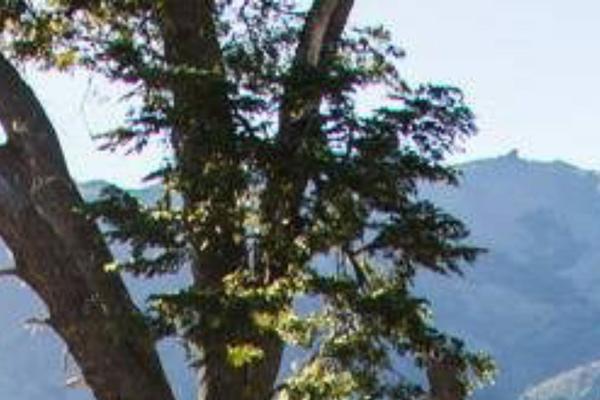 Site using Caldera Forms plugin