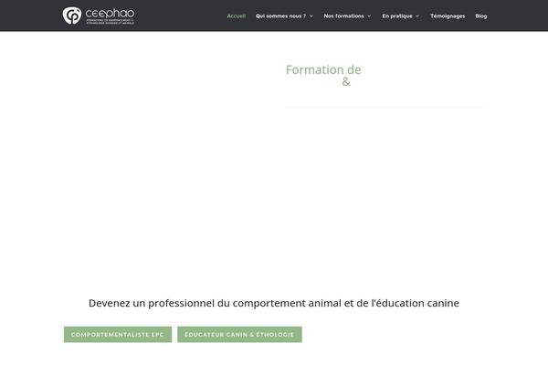 WordPress website example screenshot