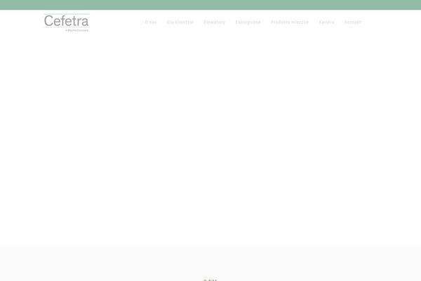 Bridge theme site design template sample