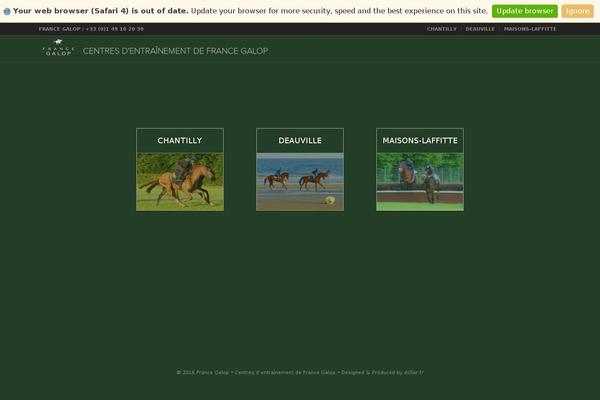 Site using Meks Smart Social Widget plugin