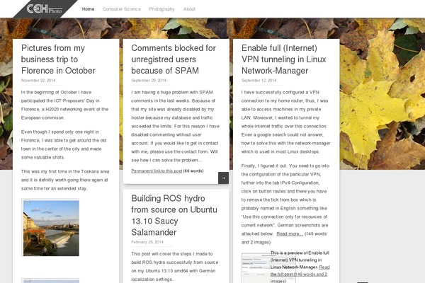 Pinbin theme site design template sample