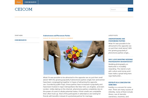 WP FanZone theme site design template sample