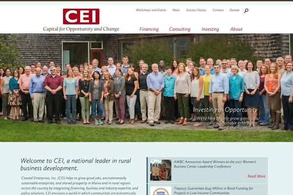 CEI theme websites examples