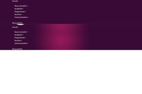cejfi.org site used Slm-theme