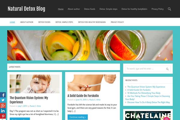 Momentous Lite theme site design template sample