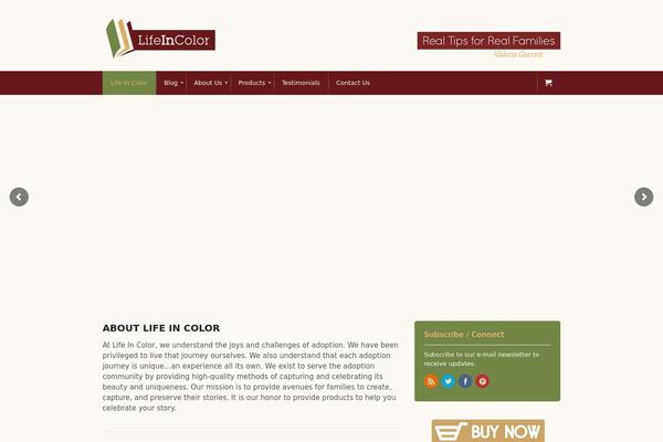 Canvas-child theme site design template sample