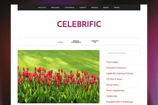 Metro Pro theme site design template sample
