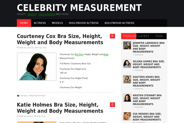 Hiero theme site design template sample
