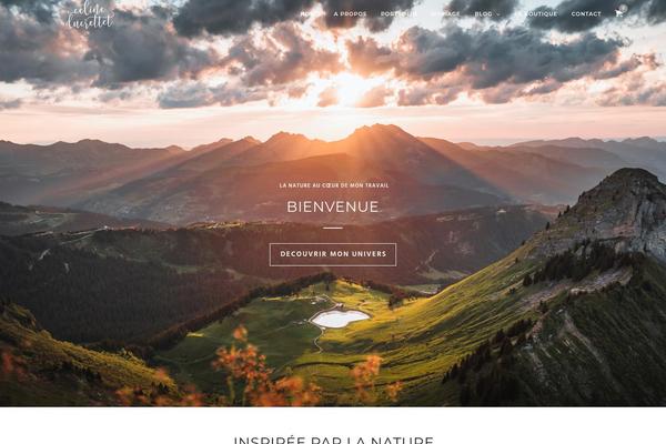 Site using AccessPress Pinterest plugin