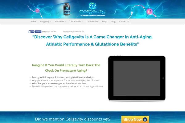 Metrolium theme site design template sample