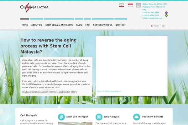 Site using Testimonial-slider-and-showcase plugin