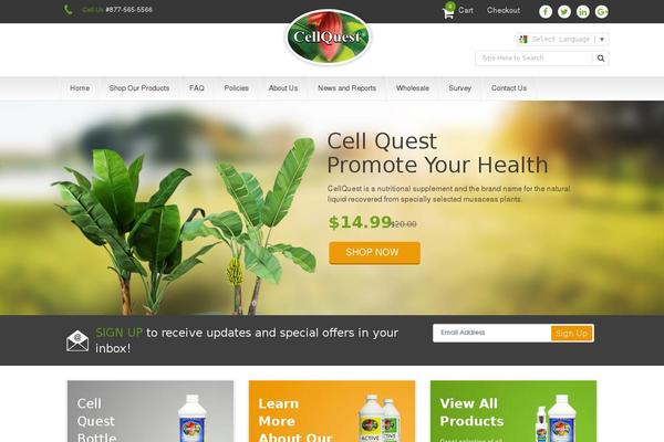 Fruitful-child theme site design template sample