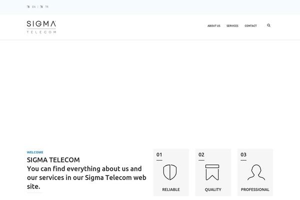 Mixed-modern-and-professional-wordpress-theme theme site design template sample