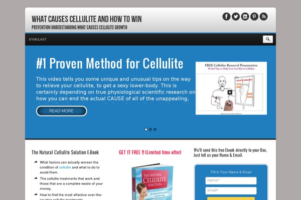 Elegantbiz theme site design template sample