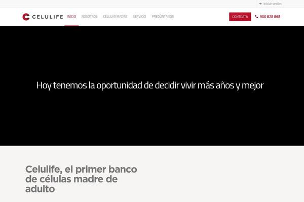 Divi Child theme site design template sample