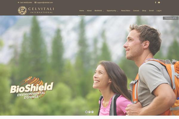 Highend theme site design template sample