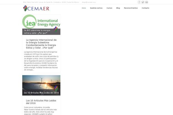 Appointment theme site design template sample