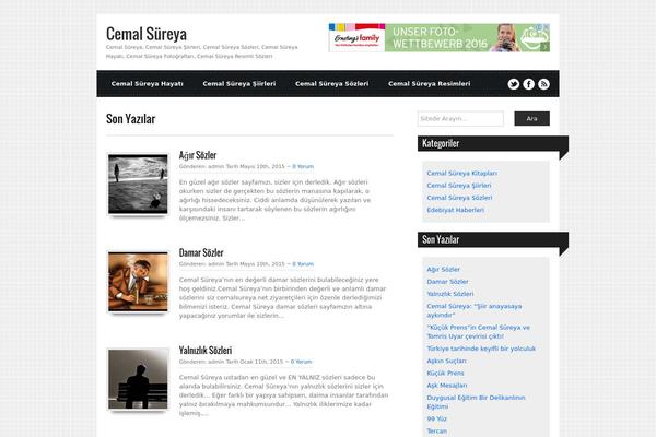 Ribbons theme site design template sample