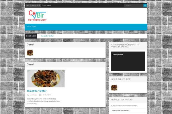 Delipress theme site design template sample