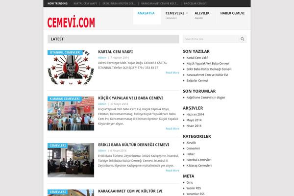 Point theme site design template sample