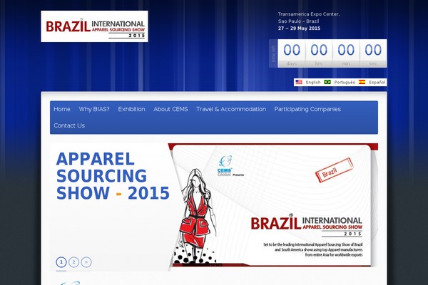 bias theme websites examples