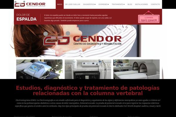 Spasalon theme site design template sample