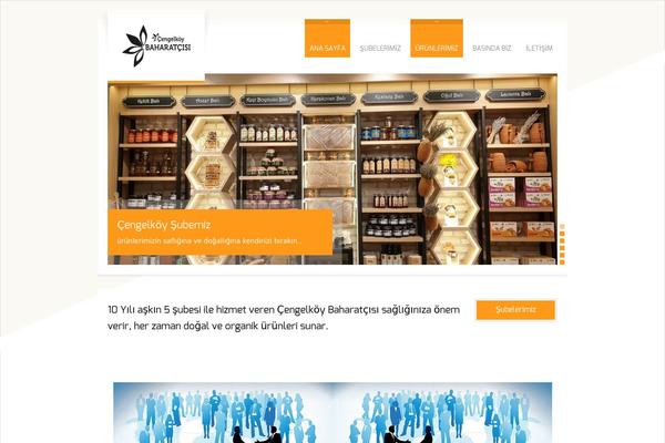 Site using Easy FancyBox plugin