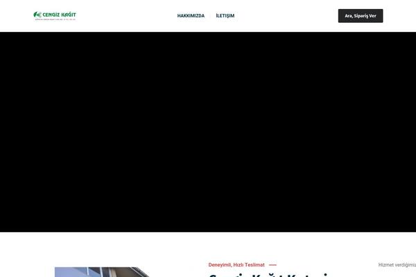 Bizix theme site design template sample