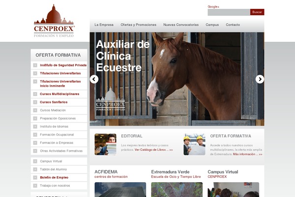 Theme1369 theme site design template sample
