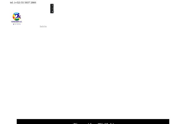 Site using Elementor-pro plugin