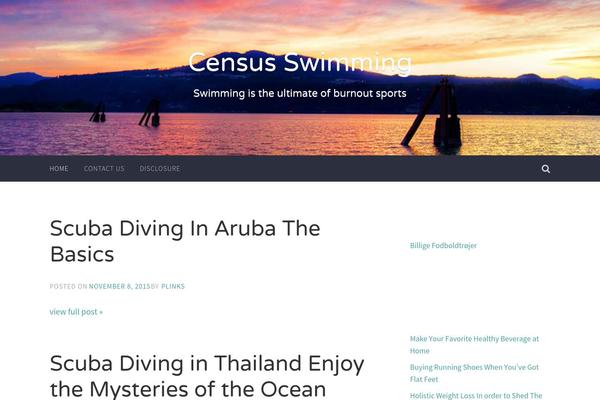 Accent theme site design template sample