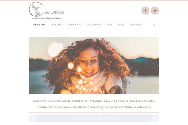 Bridge theme site design template sample