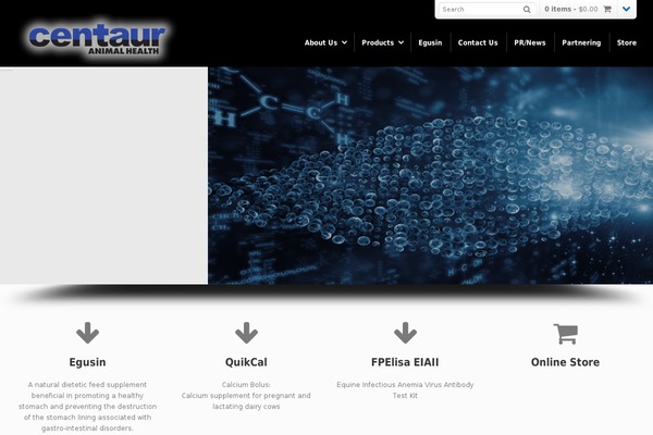 Dynamix theme site design template sample