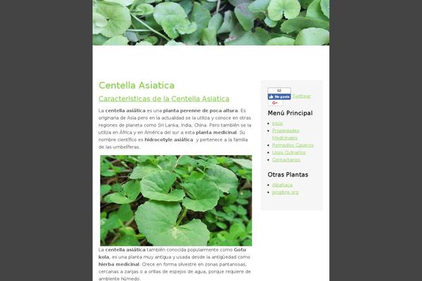 Slimmy theme site design template sample