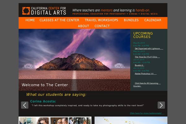 Divi Child theme site design template sample