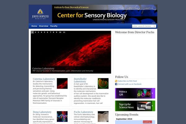 Wp Sublime theme site design template sample