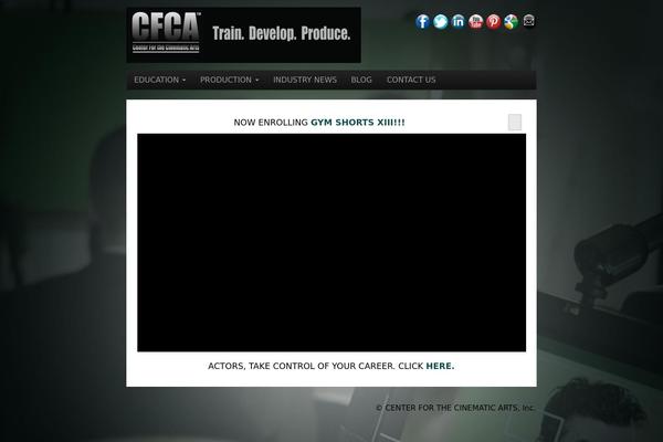 CyberChimps Pro theme site design template sample